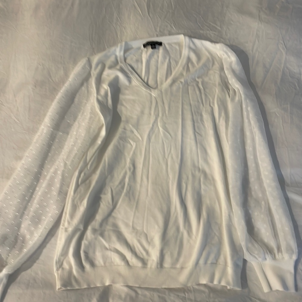 Size small Adrianna Papell Sweater with sheer sleeves